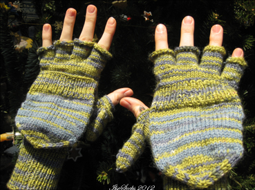 341-Handschuhe